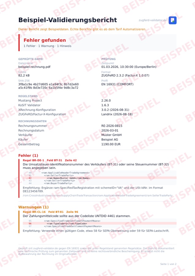 First page of a validation report with checksum, rule set and one error including line number and excerpt